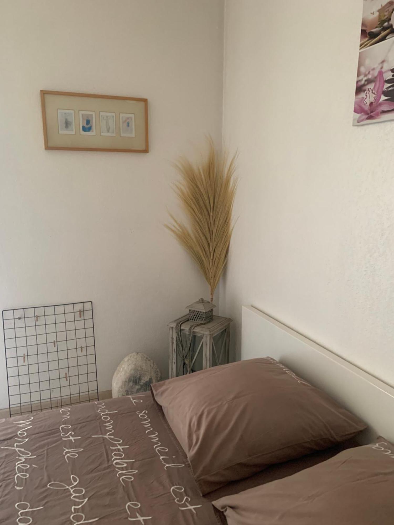 Apartmán Votre Sejour Cosy A Frejus! Exteriér fotografie